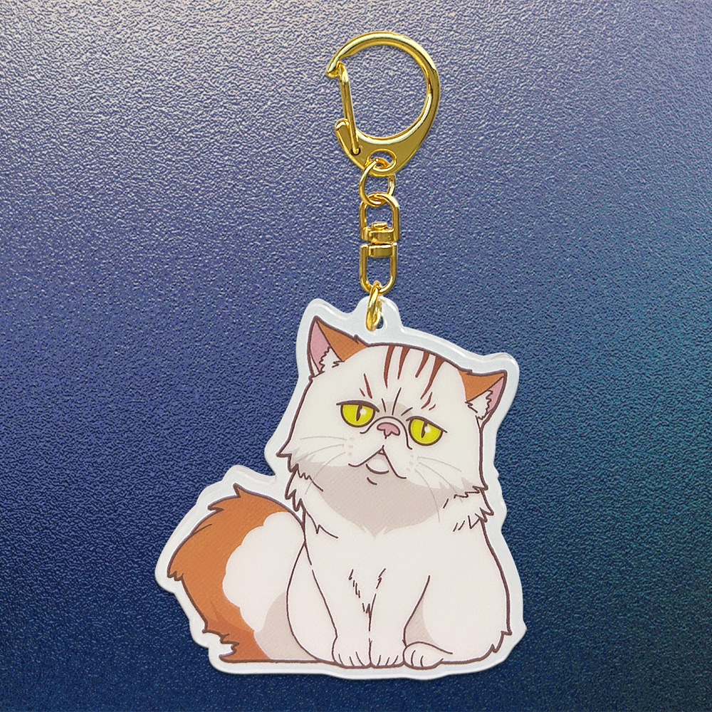 �@����m�K���_�� �M���̃n�T�E�F�C �L���P�[�̖����@�A�N�����L�[�z���_�[�i�l�t�j