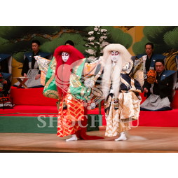 2024年2月大阪松竹座 立春歌舞伎特別公演ブロマイド／『連獅子』／320