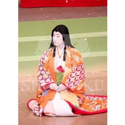 2025�N12�� ����u�g��猩�����s ����������̕���v�u���}�C�h�^�w���̉Ԍ��x�^028