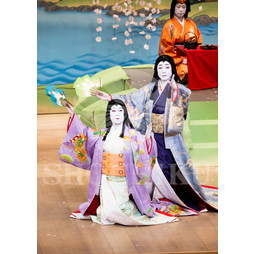 2025�N12�� ����u�g��猩�����s ����������̕���v�u���}�C�h�^�w���̉Ԍ��x�^109