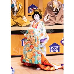 2025�N12�� ����u�g��猩�����s ����������̕���v�u���}�C�h�^�w���]��Ζʁx�^125