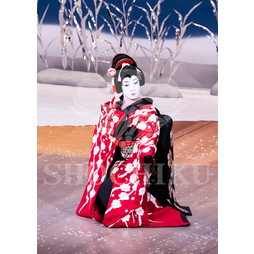 2025�N12�� ����u�g��猩�����s ����������̕���v�u���}�C�h�^�w�떺�x�^141