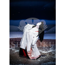 2025�N12�� ����u�g��猩�����s ����������̕���v�u���}�C�h�^�w�떺�x�^149