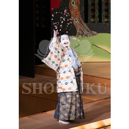 2025�N12�� ����u�g��猩�����s ����������̕���v�u���}�C�h�^�w���̉Ԍ��x�^182