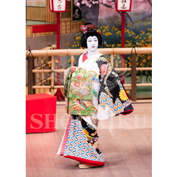 2025�N12�� ����u�g��猩�����s ����������̕���v�u���}�C�h�^�w�O�l�`�x�^193