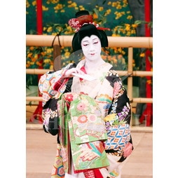 2025�N12�� ����u�g��猩�����s ����������̕���v�u���}�C�h�^�w�O�l�`�x�^195