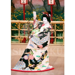 2025�N12�� ����u�g��猩�����s ����������̕���v�u���}�C�h�^�w�O�l�`�x�^196