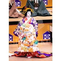 2025�N12�� ����u�g��猩�����s ����������̕���v�u���}�C�h�^�w���]��Ζʁx�^210