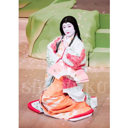 2025�N12�� ����u�g��猩�����s ����������̕���v�u���}�C�h�^�w���̉Ԍ��x�^216