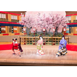 2025�N12�� ����u�g��猩�����s ����������̕���v�u���}�C�h�^�w�O�l�`�x�^228