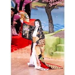 2025�N12�� ����u�g��猩�����s ����������̕���v�u���}�C�h�^�w���̉Ԍ��x�^235