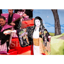 2025�N12�� ����u�g��猩�����s ����������̕���v�u���}�C�h�^�w���̉Ԍ��x�^236