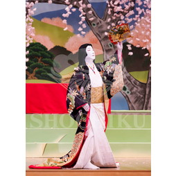 2025�N12�� ����u�g��猩�����s ����������̕���v�u���}�C�h�^�w���̉Ԍ��x�^237