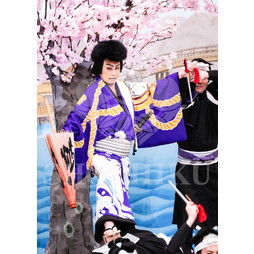 2025年12月 南座「吉例顔見世興行 東西合同大歌舞伎」ブロマイド/『弁天娘女男白浪』/414