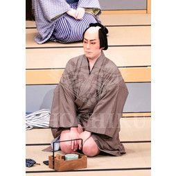 2025�N12�� ����u�g��猩�����s ����������̕���v�u���}�C�h�^�w�ٓV�����j���Q�x�^441