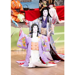 2025�N12�� ����u�g��猩�����s ����������̕���v�u���}�C�h�^�w���̉Ԍ��x�^452