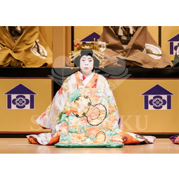 2025�N12�� ����u�g��猩�����s ����������̕���v�u���}�C�h�^�w���]��Ζʁx�^461