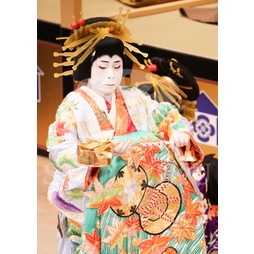 2025�N12�� ����u�g��猩�����s ����������̕���v�u���}�C�h�^�w���]��Ζʁx�^462