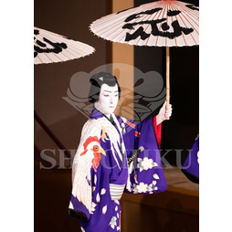 2025�N12�� ����u�g��猩�����s ����������̕���v�u���}�C�h�^�w�ٓV�����j���Q�x�^466