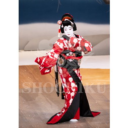 2025�N12�� ����u�g��猩�����s ����������̕���v�u���}�C�h�^�w�떺�x�^470