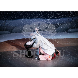 2025�N12�� ����u�g��猩�����s ����������̕���v�u���}�C�h�^�w�떺�x�^485