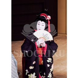 2025�N12�� ����u�g��猩�����s ����������̕���v�u���}�C�h�^�w�ٓV�����j���Q�x�^487