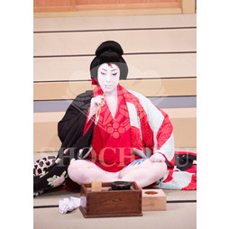 2025�N12�� ����u�g��猩�����s ����������̕���v�u���}�C�h�^�w�ٓV�����j���Q�x�^489