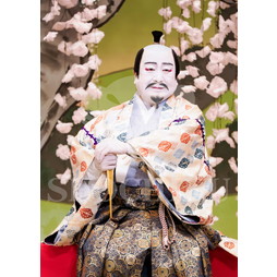 2025�N12�� ����u�g��猩�����s ����������̕���v�u���}�C�h�^�w���̉Ԍ��x�^514