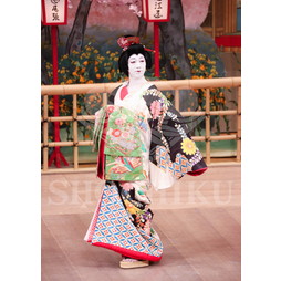 2025�N12�� ����u�g��猩�����s ����������̕���v�u���}�C�h�^�w�O�l�`�x�^524