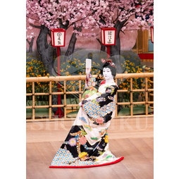 2025�N12�� ����u�g��猩�����s ����������̕���v�u���}�C�h�^�w�O�l�`�x�^525