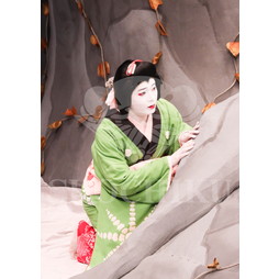 2025�N12�� ����u�g��猩�����s ����������̕���v�u���}�C�h�^�w���Ə��쓇�x�^532