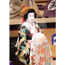 2025�N12�� ����u�g��猩�����s ����������̕���v�u���}�C�h�^�w���]��Ζʁx�^536