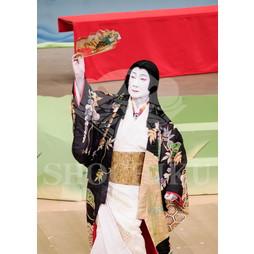 2025�N12�� ����u�g��猩�����s ����������̕���v�u���}�C�h�^�w���̉Ԍ��x�^539