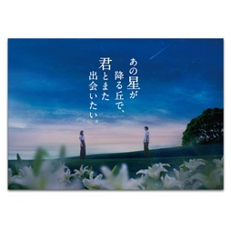あの星が降る丘で、君とまた出会いたい。　劇場用プログラム