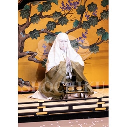 2026年1月 大阪松竹座「壽 初春歌舞伎特別公演」ブロマイド/『祇園祭礼信仰記』/021