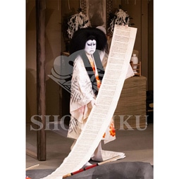 2026�N1�� ��㏼�|���u�� ���t�̕�����ʌ����v�u���}�C�h�^�w���_�x�^025