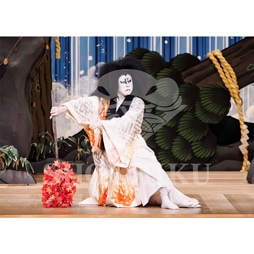 2026年1月 大阪松竹座「壽 初春歌舞伎特別公演」ブロマイド/『女鳴神』/026