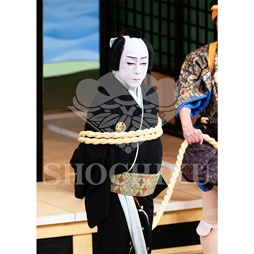 2026年1月 大阪松竹座「壽 初春歌舞伎特別公演」ブロマイド/『祇園祭礼信仰記』/074