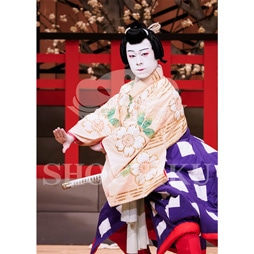 2026年1月 大阪松竹座「壽 初春歌舞伎特別公演」ブロマイド/『菅原伝授手習鑑』/093