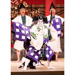 2026年1月 大阪松竹座「壽 初春歌舞伎特別公演」ブロマイド/『菅原伝授手習鑑』/103