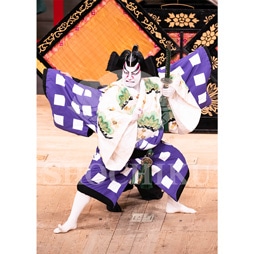 2026年1月 大阪松竹座「壽 初春歌舞伎特別公演」ブロマイド/『菅原伝授手習鑑』/106