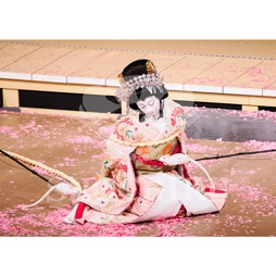 2026�N1�� ��㏼�|���u�� ���t�̕�����ʌ����v�u���}�C�h�^�w�_���՗�M�L�x�^117