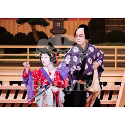 2026�N1�� ��㏼�|���u�� ���t�̕�����ʌ����v�u���}�C�h�^�w������{���b���x�^124