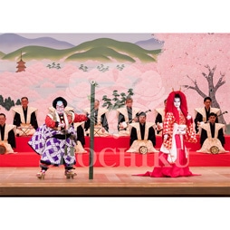 2026年1月 大阪松竹座「壽 初春歌舞伎特別公演」ブロマイド/『京鹿子娘道成寺』/137