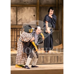 2026�N1�� ��㏼�|���u�� ���t�̕�����ʌ����v�u���}�C�h�^�w�炭���x�^145