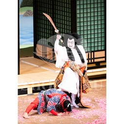 2026年1月 大阪松竹座「壽 初春歌舞伎特別公演」ブロマイド/『祇園祭礼信仰記』/402