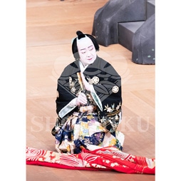 2026年1月 大阪松竹座「壽 初春歌舞伎特別公演」ブロマイド/『女鳴神』/406