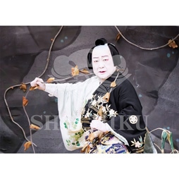 2026年1月 大阪松竹座「壽 初春歌舞伎特別公演」ブロマイド/『女鳴神』/408