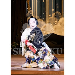 2026年1月 大阪松竹座「壽 初春歌舞伎特別公演」ブロマイド/『女鳴神』/409