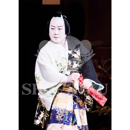 2026年1月 大阪松竹座「壽 初春歌舞伎特別公演」ブロマイド/『女鳴神』/410